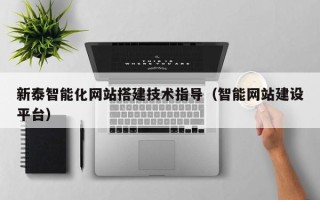 莘县新泰智能化网站搭建技术指导（智能网站建设平台）