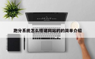 莘县跑分系统怎么搭建网站的的简单介绍